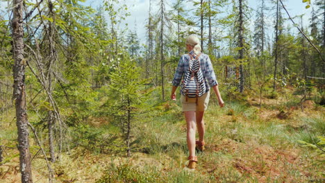 a woman walks through the marshland in the forest back view dangerous trek and get lost concept