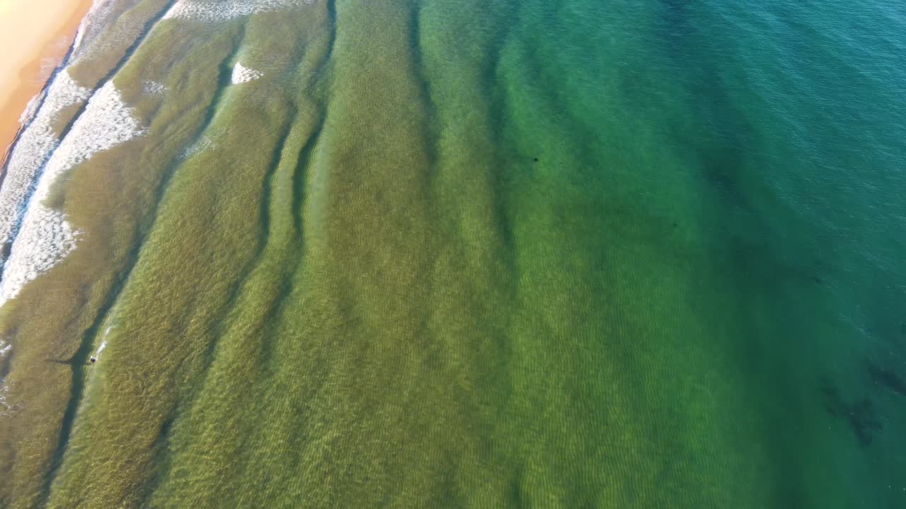 toma aérea de drones de aguas cristalinas arena océano oleaje olas terrigal playa turismo costa central nsw australia 3840x2160 4k