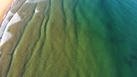 Toma-Aérea-De-Drones-De-Aguas-Cristalinas-Arena-Océano-Oleaje-Olas-Terrigal-Playa-Turismo-Costa-Central-Nsw-Australia-3840x2160-4k