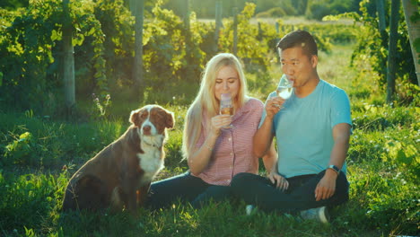 A-Young-Multiethnic-Couple-Sits-Near-A-Vineyard-Tasting-Wine-Next-To-Them-Is-Their-Dog-Travel-And-Wi