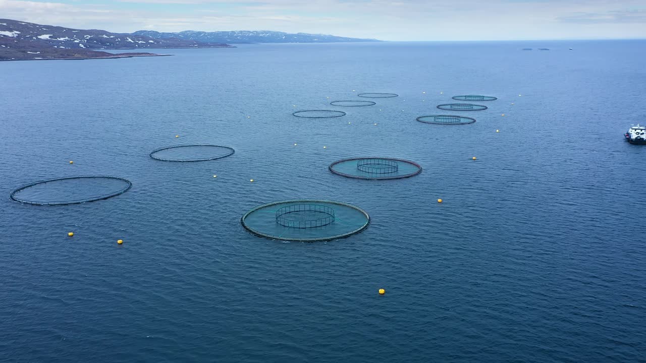 노르웨이에서 연어  ⁇ 시를 하는 공중 촬영