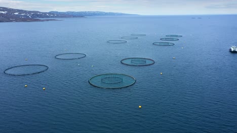 imágenes aéreas de granjas de pesca de salmón en noruega