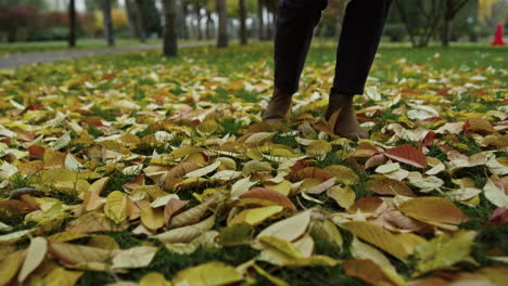 man hand picking yellow leave in autumn park outdoors