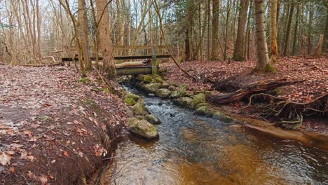 el río en el bosque de otoño y el sol brillando a través del follaje