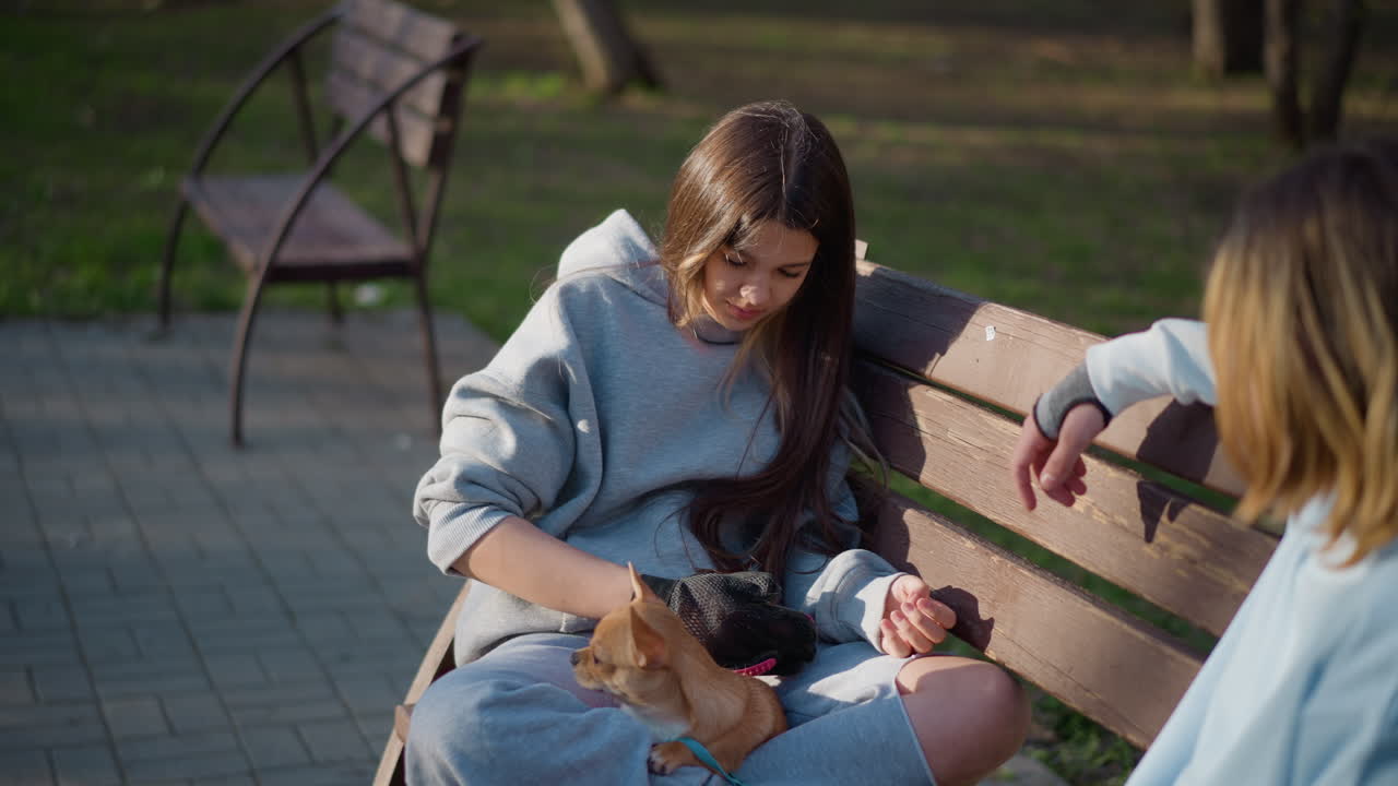 젊은 여성이 강아지에게 간식을 주고, 여성이 맛있는 간식을 제공하며, 젊은 여성이 애완견에게 간식을 나누어 주고, 사랑하는 강아지에게 간식을 넉넉히 나눠 줍니다.