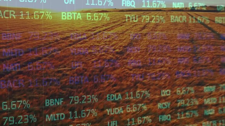 Animazione dell'elaborazione di dati finanziari su un campo agricolo