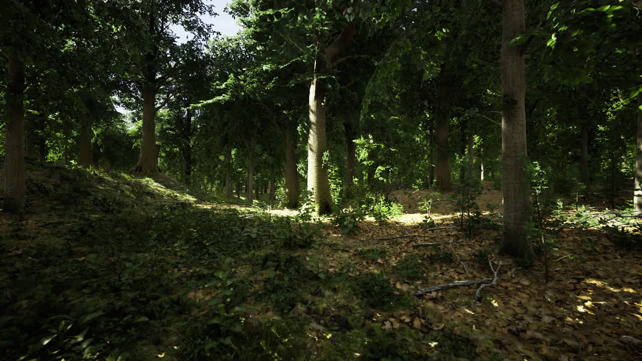 Vibrant forest with lush flora and sunlight streaming through trees