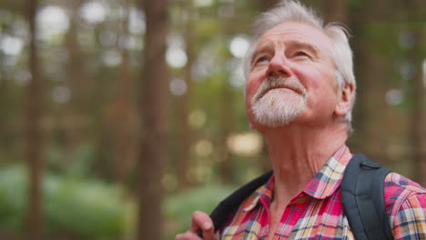 Active-Retired-Senior-Man-Walking-In-Woodland-Countryside-Wearing-Backpack