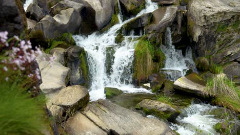 Atemberaubende-Wasserfallaufnahme-Mit-Fokusverschiebung-Von-Rosa-Wildblumen-Zu-Den-Wasserfällen-|-4k