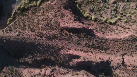 Overhead-Shot-Of-Altiplano-Wild-Land,-Naturally-Green-Plants,-North-Argentina