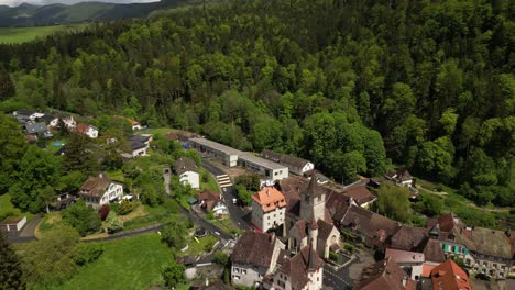 neuchâtel town in switzerland swiss heritage site, aerial beautiful forest