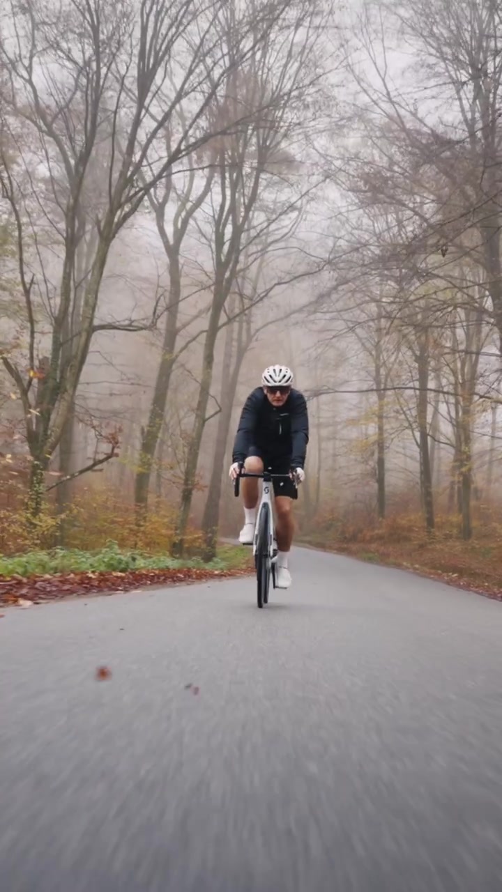 Un video verticale mostra un ciclista solitario che percorre una strada tortuosa attraverso una foresta autunnale nebbiosa, con una luce naturale soffusa e un'atmosfera tranquilla, ideale per i reel dei social media.