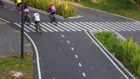 group of cyclists riding along a winding park path