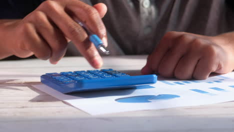 Person Calculating with Calculator and Charts