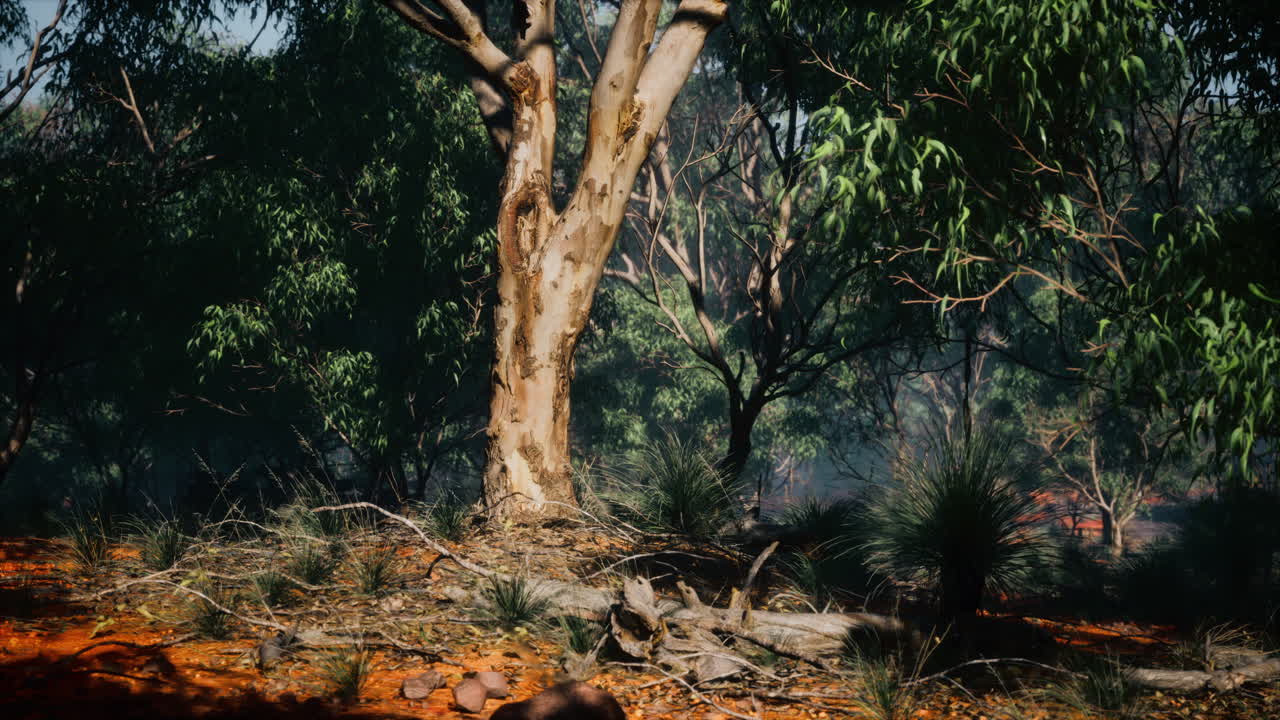 서부 오스트레일리아 의  ⁇ 버리 지역