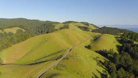 beautiful verdant landscape of mount tamalpais state park