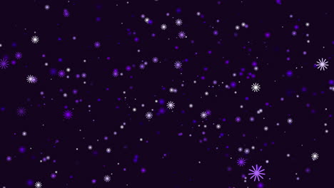 starry night white and purple stars illuminate the night sky