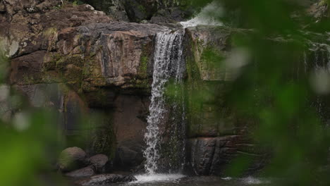 establishing tilt up along salto el yerba waterfall, forest atmosphere, surrounded by greenery in misiones argentina