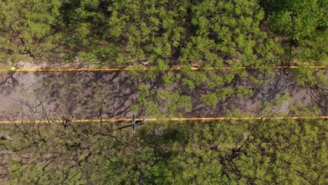 Overhead-daytime-aerial-perspective-captures-a-tree-lined-street-on-the-outskirts-of-Buenos-Aires,-revealing-the-harmonious-blend-of-nature-and-urbanity-in-motion-with-people-running-and-biking