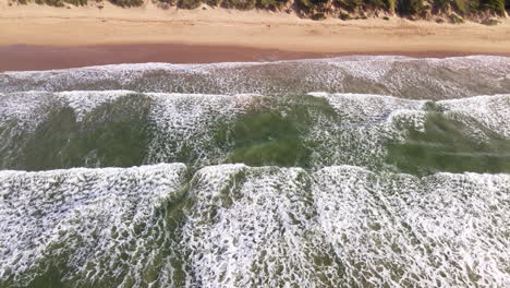 Incessant-waves-rolling-out-onto-deserted-sandy-beach-with-coastal-dunes,-aerial