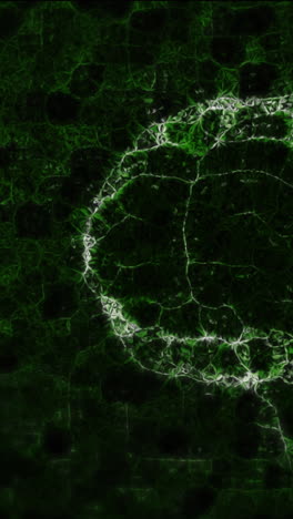 animación del cerebro girando sobre un fondo negro con una bolsa con comestibles