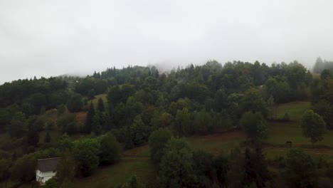 Drone-flying-within-the-misty-forest-above-the-mountain-in-Matisesti,-Romania