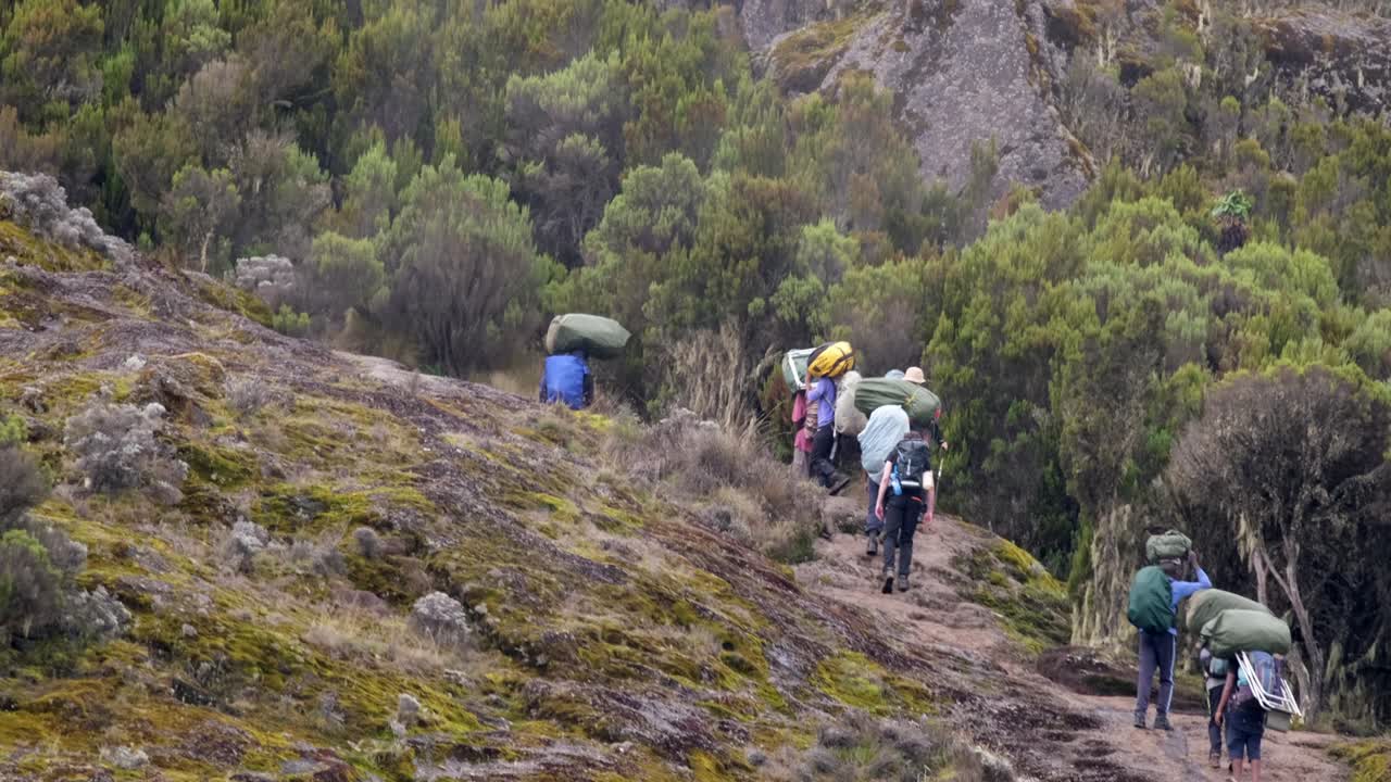 키리만자로를 등반하는 동안 은 길을 따라 걸어가는 장비를 가진 포터의 사슬.
