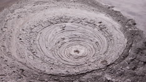 close up of geothermal mud pools bubbling and splashing in rotorua, new zealand