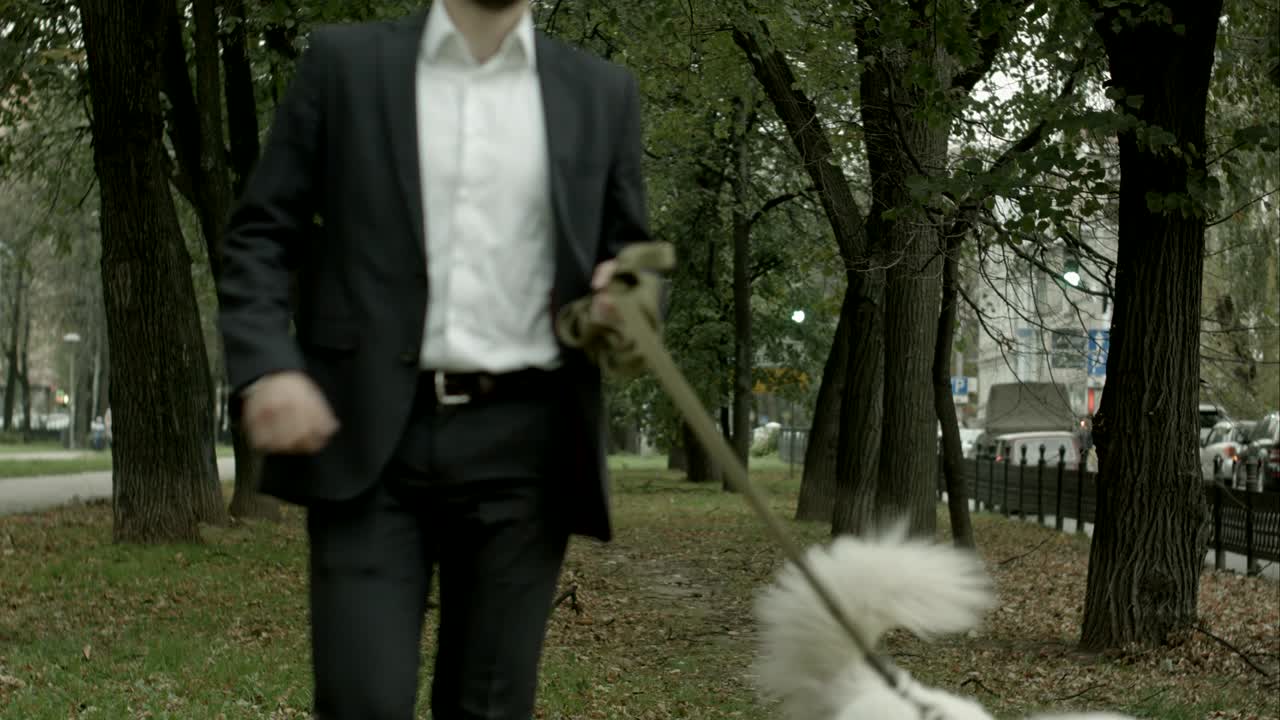 Businessman running with big white dog in alley of green trees, autumn