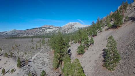 high aerial shot over a ridge with pines reveals the mono volcano cones in the eastern sierra nevada mountains