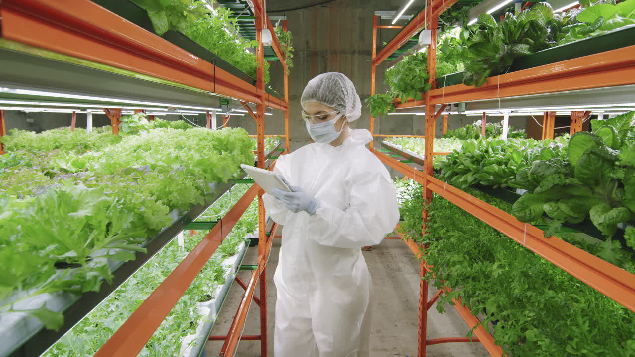 Greenhouse Worker Doing Research On Seedlings