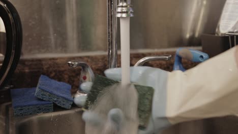 cleaning and squeezing the used sponge with running water from the kitchen faucet - close up shot