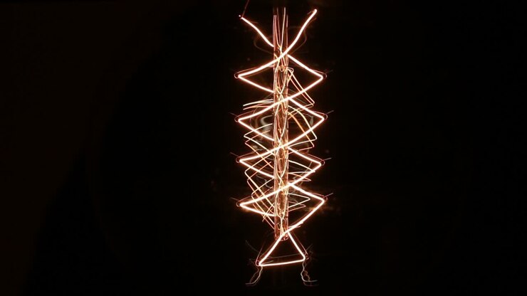 Vintage Edison Incandescent Light Lamp Tungsten Filament