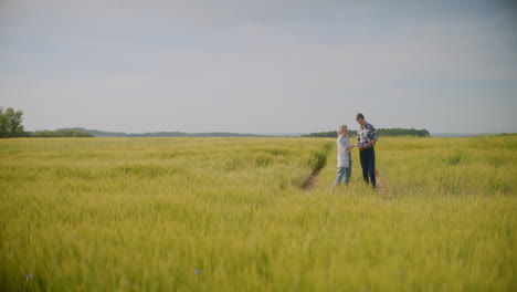 farmers inspecting wheat field