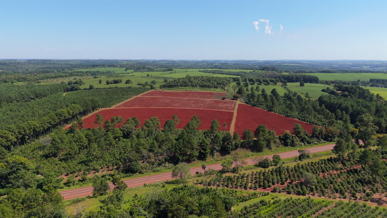 Aerial View of Agricultural Fields in forestry Landscape, Yerba Mate Farmland