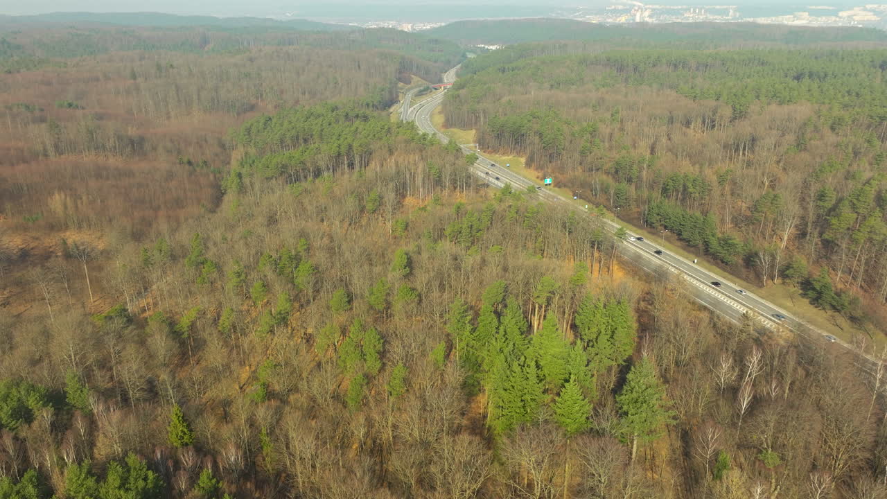 una vista aérea captura una carretera que atraviesa un bosque mixto, contrastando pinos de hoja perenne con árboles de hoja caduca en transición estacional