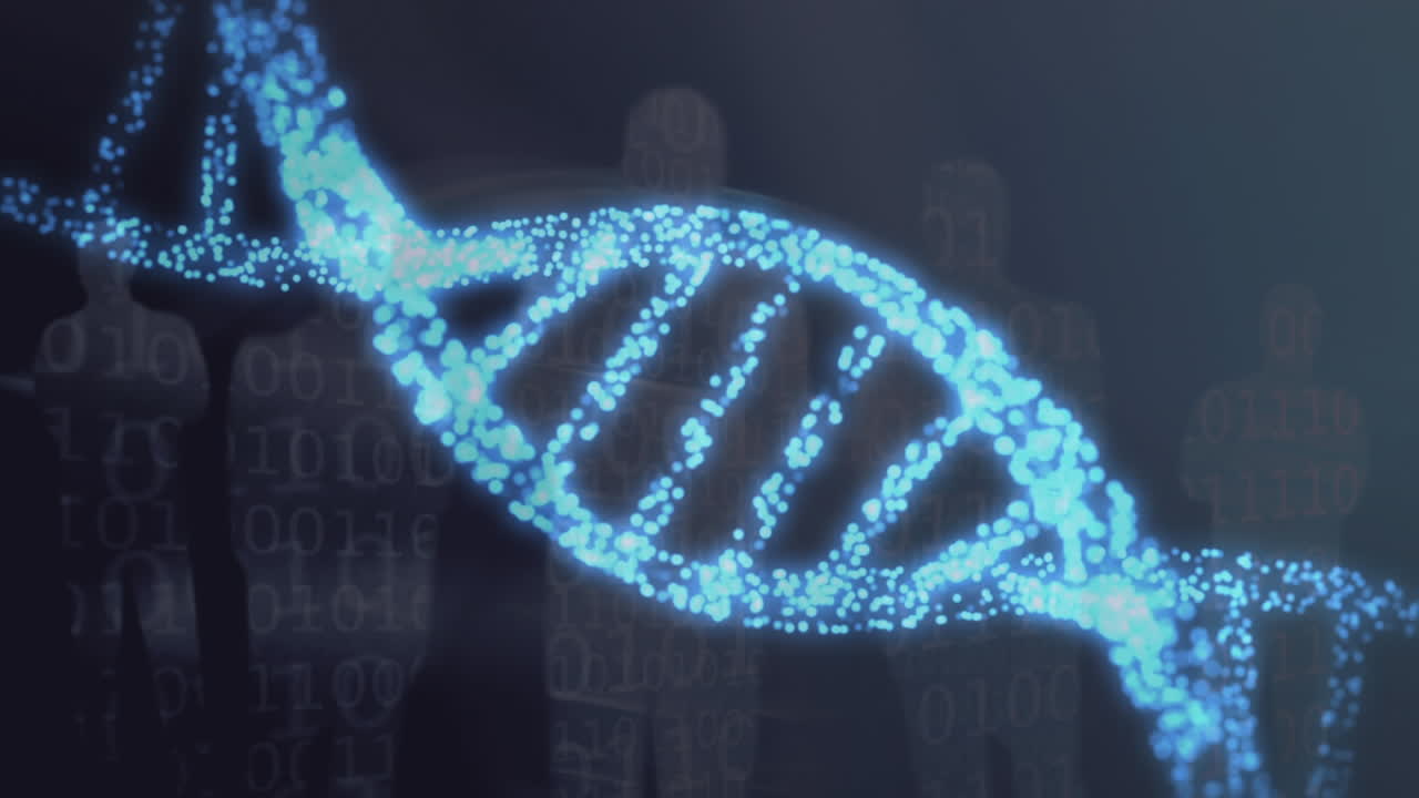 Animation of 3d dna strand spinning and data processing over human silhouettes