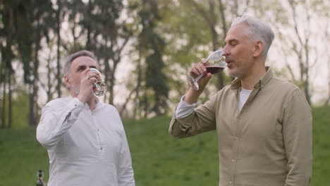hombres de mediana edad brindando con copas de vino en el parque