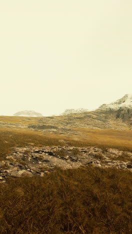 serene winter landscape: snow-capped mountains and brown grass field