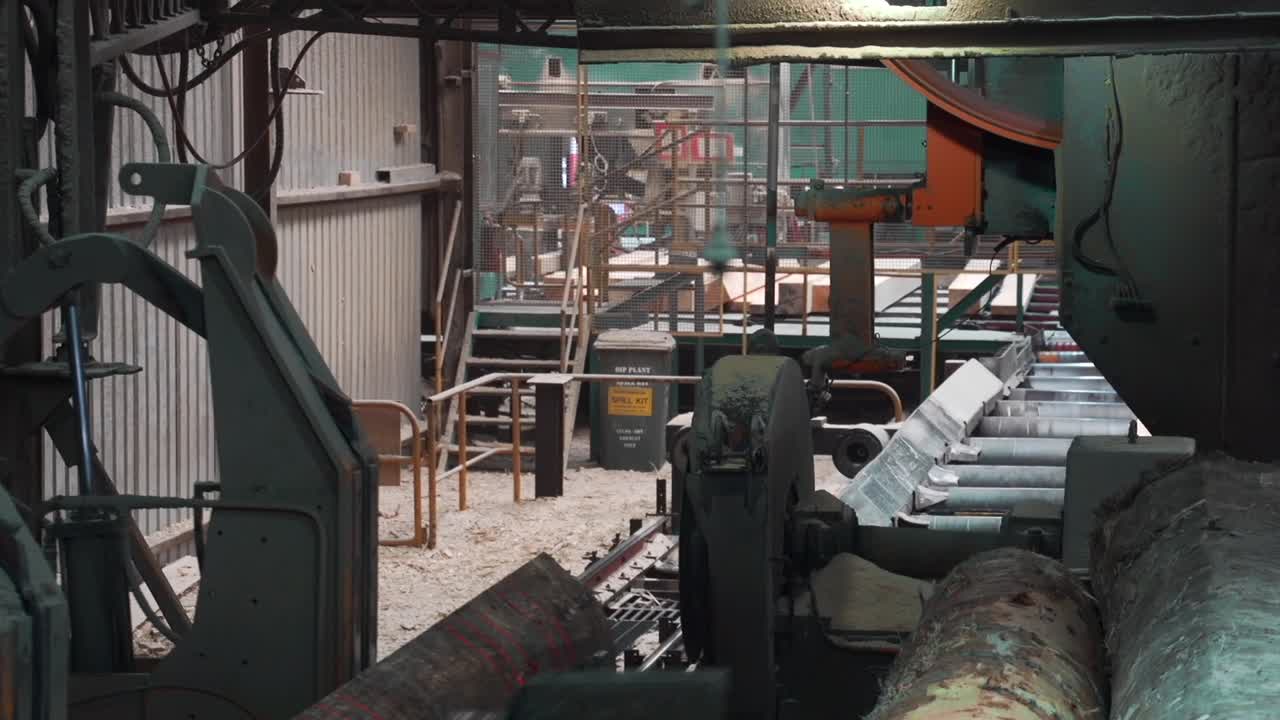 Industrial automated laser conveyor belt glides log towards vertical bandsaw