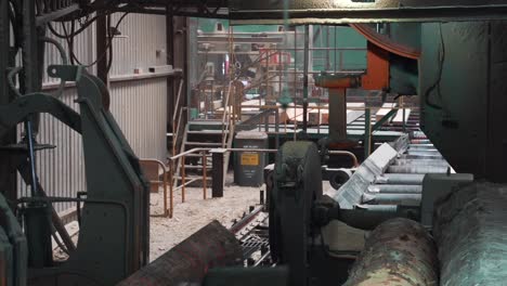 industrial automated laser conveyor belt glides log towards vertical bandsaw