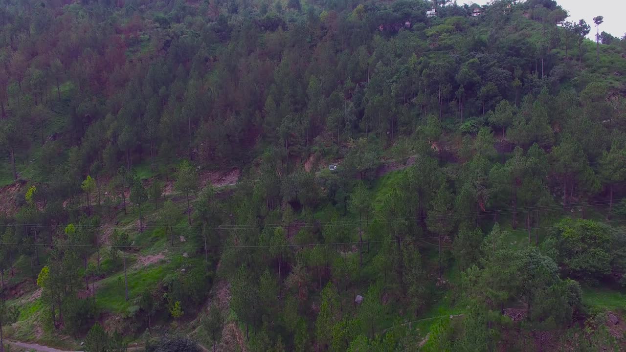 bosque y montaña, árboles verdes con cámara panorámica hacia abajo, cables eléctricos que van con montañas