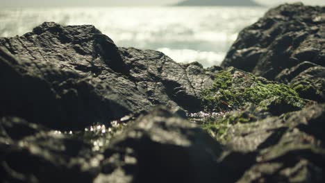 Close-shot-of-rocks-covered-in-moss-with-a-bright-sea-behind-reflecting-the-sunlight