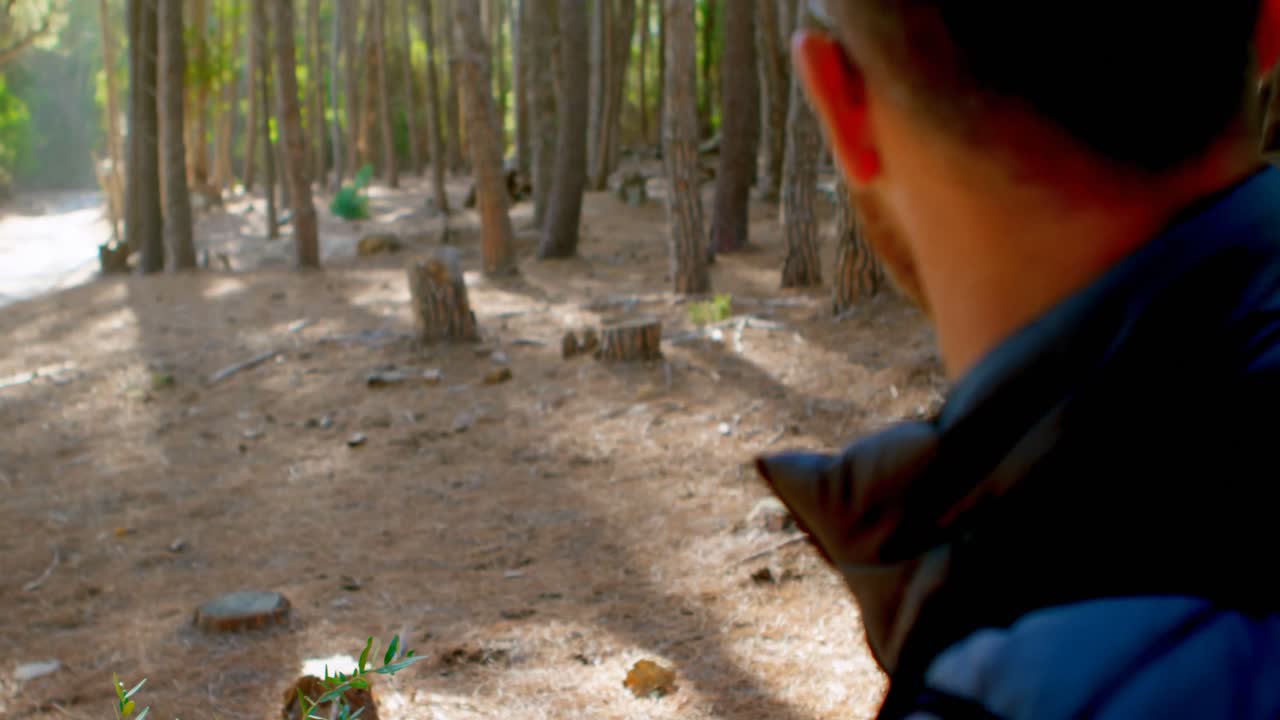 excursionista masculino mirando el mapa en el bosque 4k