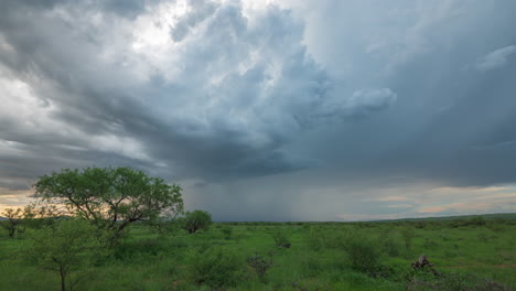 Storm-clouds-rolling-in-over-pasture-and-trees-in-Sonoita,-Arizona,-time-lapse