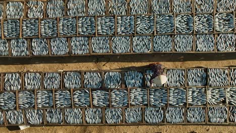 Vista-Por-Drones-De-Un-Trabajador-Secando-Peces-Corvina,-En-El-Distrito-De-Long-Hai,-Ciudad-De-Ba-Ria,-Provincia-De-Ba-Ria-Vung-Tau,-Vietnam-Del-Sur