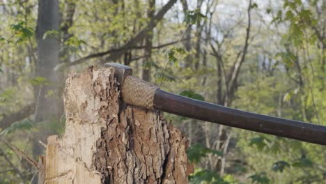 powerful slow motion shot of an axe sticking into a tree stump