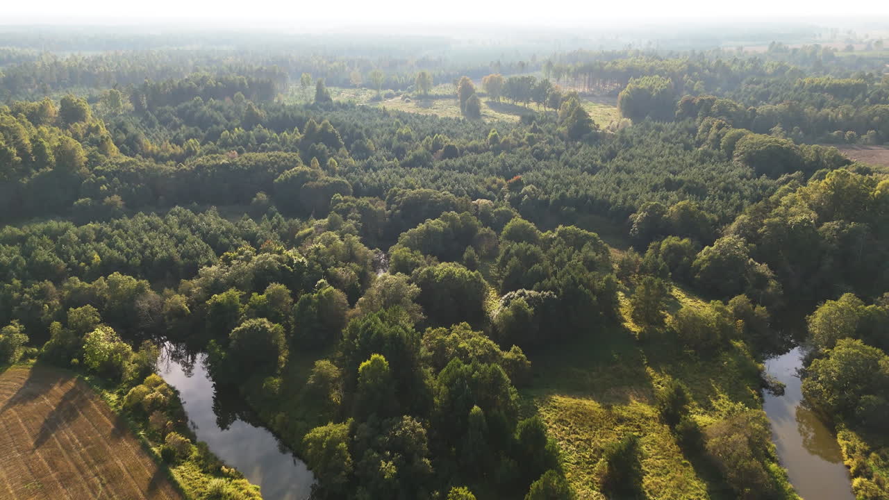 Aerial View Of Dense Trees And River At Sunrise In Pavilosta, Latvia.