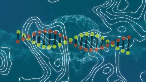 Animación-De-La-Cadena-De-ADN-Sobre-Formas-Y-Cerebro.