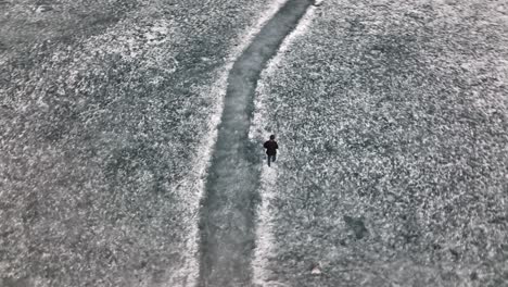 Vista-Aérea-De-Pájaro-De-Un-Macho-Adulto-Caminando-Por-El-Suelo-Cubierto-De-Nieve-En-El-Lago-Khalti